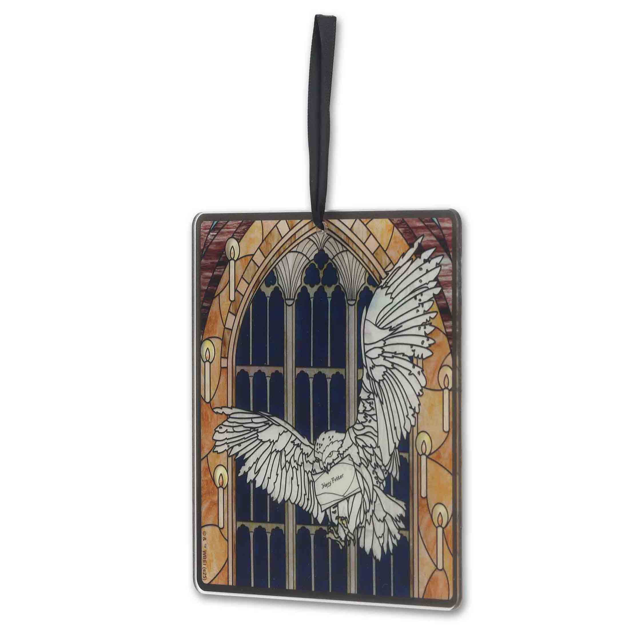 Harry Potter Hedwig Die Cut Acrylic Wall Décor 6"