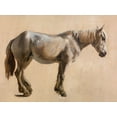 thumbnail image 2 of Agasse, Jacques-Laurent 18x15 White Modern Wood Framed Museum Art Print Titled - Study of a Grey Horse 1800, 2 of 4