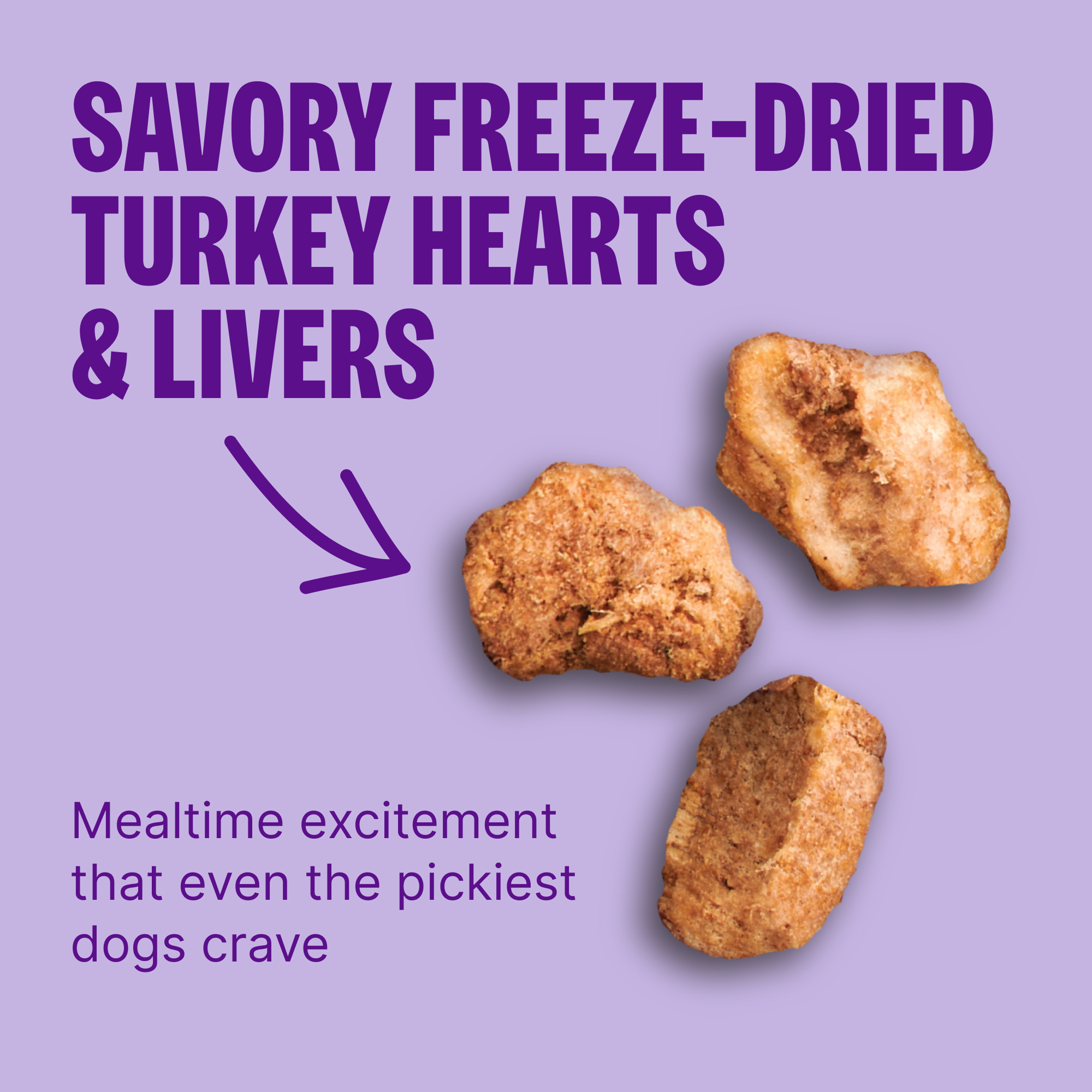 Wellness CORE+ Grain-Free Turkey & Chicken Dry Dog Food 4 Lb photo 5