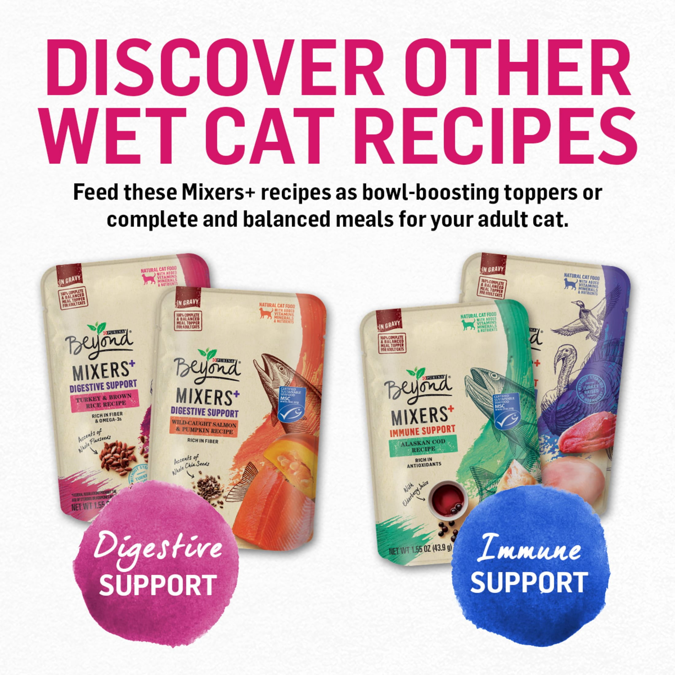 (2 pack) Purina Beyond, Chicken & Carrot, Wet Cat Food, 3 oz Cans, 12 Count