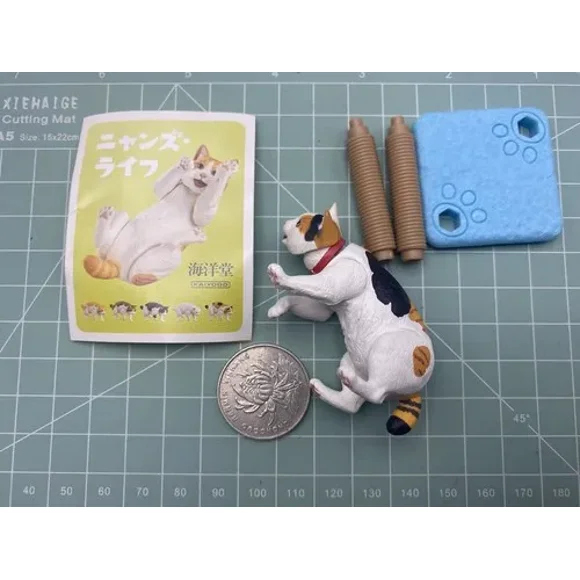 Genuine Capsule Toys Joint Movable Mini Cat's Daily Animal Ornaments Sanhua Orange Tabby Cow Cat FIGURE TOYS