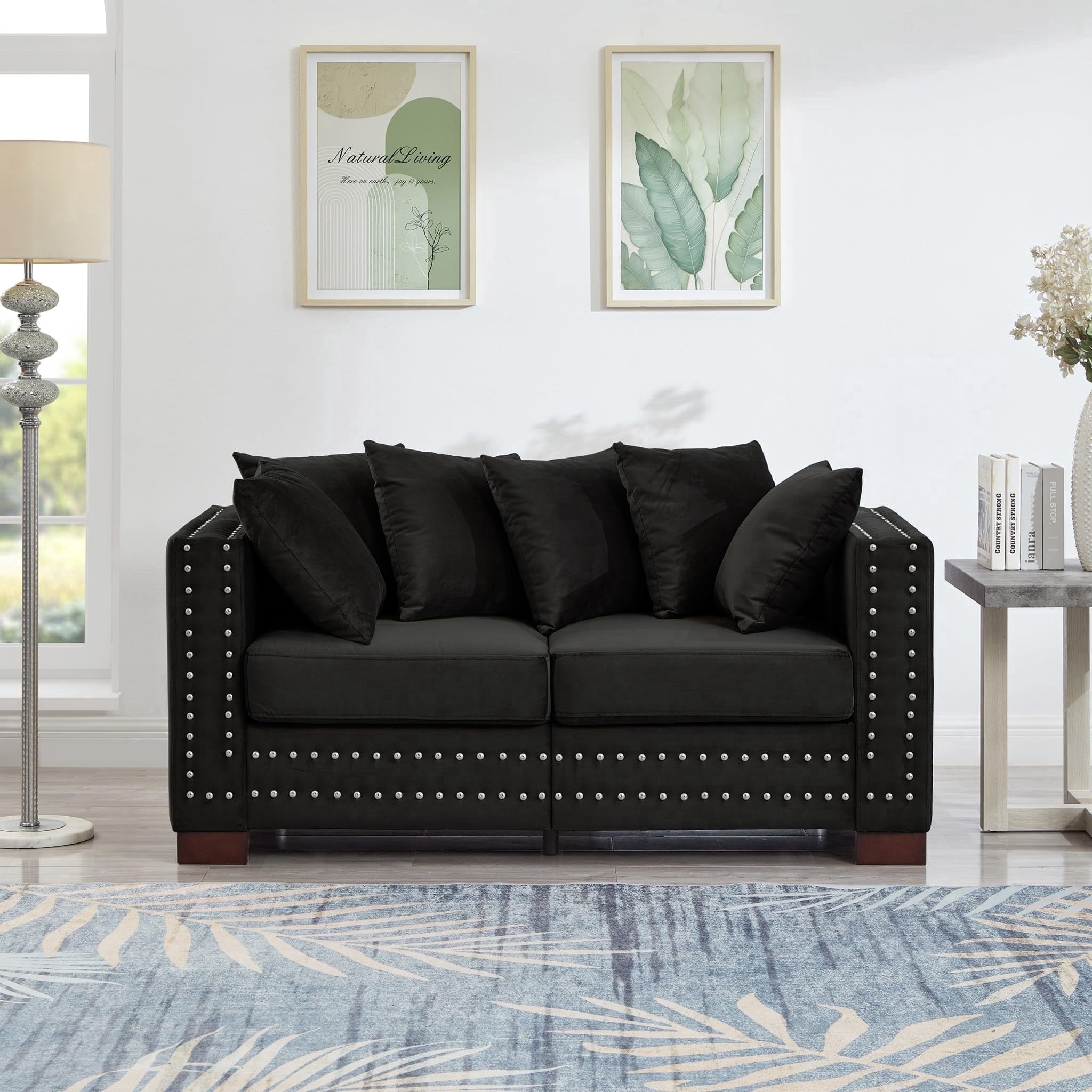 Eyisean 61" Velvet Modern Loveseat Sofa for Living Room, 2-Seater Upholstered Tufted Couch with Nailhead Arms & Pillow, Removable/Washable Cushion, Cloud Couch with Storage Space