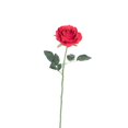 thumbnail image 1 of 23 Po. Tige Rose - Rouge, 1 of 1