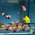 thumbnail image 5 of HEALEEP 20Pack Artificial Water Plants for Fish Box Plastic Multi Fish Enthusiasts Decor, 5 of 5