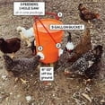 thumbnail image 3 of Dispensador de comida para aves de corral para gallineros Comedero de plástico resistente a la lluvia con 4 tetinas y sierra perforadora automática, 3 of 5