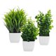 thumbnail image 3 of 3 Pack Fake Plants in Pots Artificial Eucalyptus Plant Mini Potted Faux Plants Indoor Small Plastic, 3 of 5