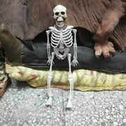 Halloween Human Skeleton Bone Model 15.7 Inches Movable Joints for Haunted Houses Graveyard Holiday Decoration