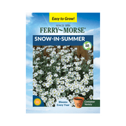 Ferry-Morse 120MG Snow-In-Summer Perennial Flower Seeds Full Sun