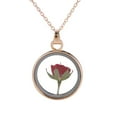 thumbnail image 2 of Fiudx Ofertas del día Nuevo Collar y Espécimen de Rosa Que Nuca Se Decolora, Regalo Eterno Para El Día de San Valentín, 2 of 2