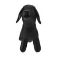 thumbnail image 1 of Greenadscape Maniquí De Cuero PU Negro Para Exhibir Prendas De Mascotas Con Y Base, 1 of 8