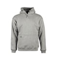 thumbnail image 1 of Sudadera con capucha Arborwear de doble grosor 4XL para hombre, 1 of 4