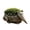 Hedgehog, variant on NOUGFVZP Cute Animal-Shaped Resin Planter Pots, Whimsical Frog Garden Decor, Succulent Planter for Indoor & Outdoor