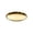 Gold, variant on Shallow Wide Stainless Steel Pet Food Plate Anti-Slip Flat Cat Dog Feeding Dish Metal Pet Bowl for Cat Small Medium Dogs,1pack