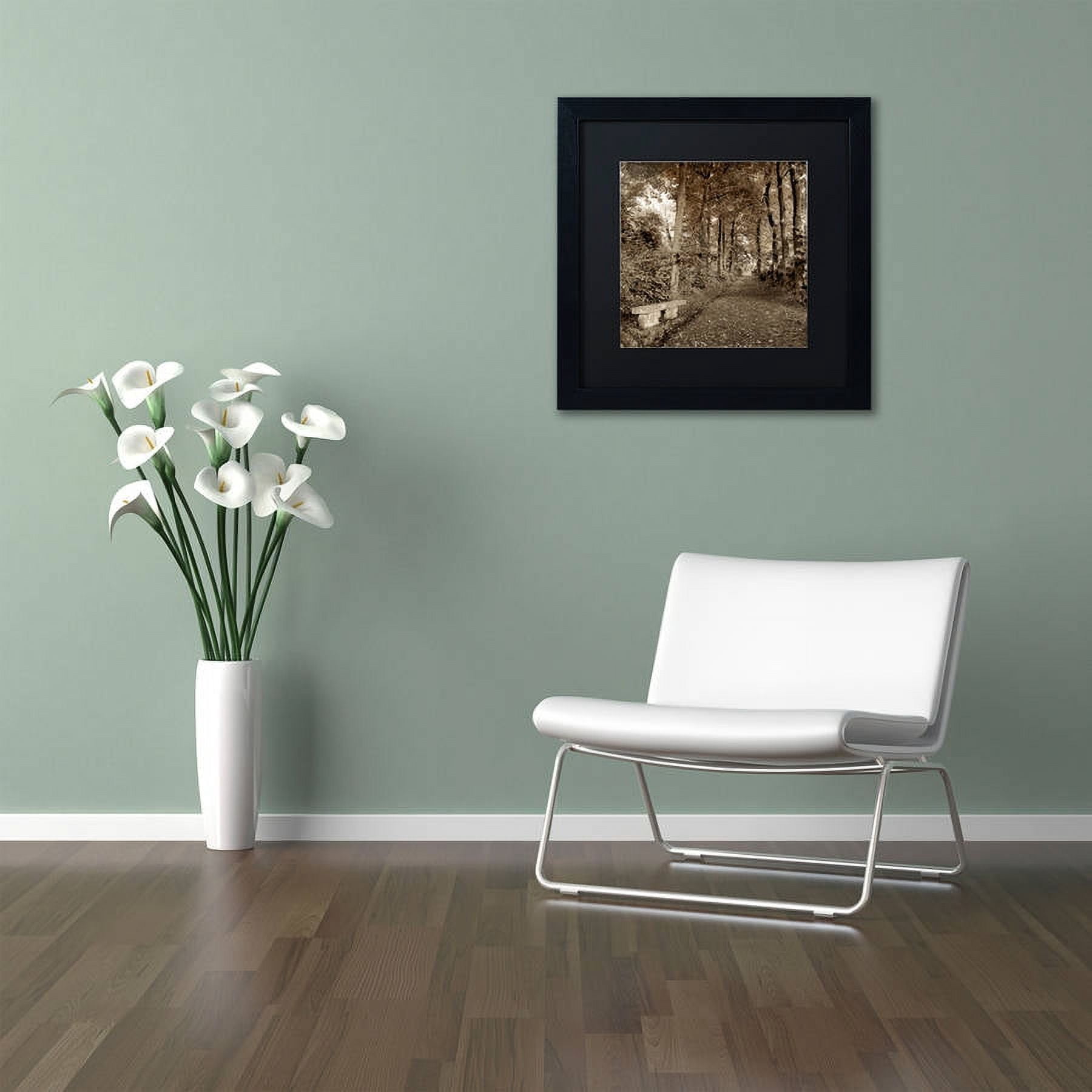 Trademark Fine Art "Fiesole Giardini II" Canvas Art by Alan Blaustein, Black Matte, Black Frame