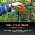 thumbnail image 6 of Newhouse Pet Single Cake Suet Basket Bird Feeder NHP-SUET-BLK, Small Hanging Bird Feeder for Outdoors, Suet Cake Holder for Jays, Woodpeckers, Chickadees, Wrens, and Other Birds, 6 of 8