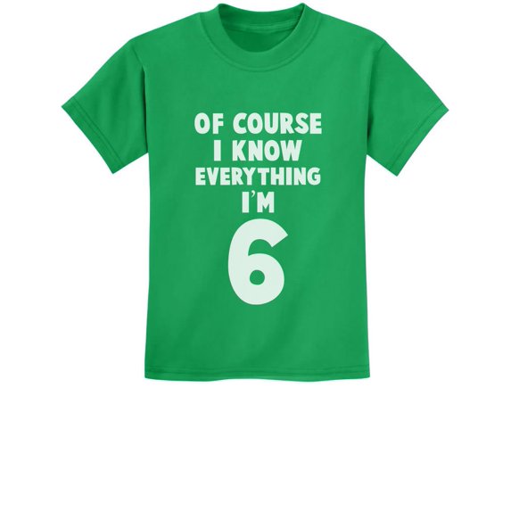 Tstars Boys Unisex 6th Birthday Gift Shirt Birthday Gift for 6 Year Old Birthday Gift for Boys I Know Everything I'm 6 Funny Birthday Party B Day Youth Kids T Shirt