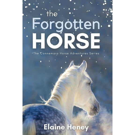 Connemara Horse Adventure: The Forgotten Horse - Book 1 in the Connemara Horse Adventure Series for Kids. The perfect gift for children age 8-12. , Book 1, (Paperback)
