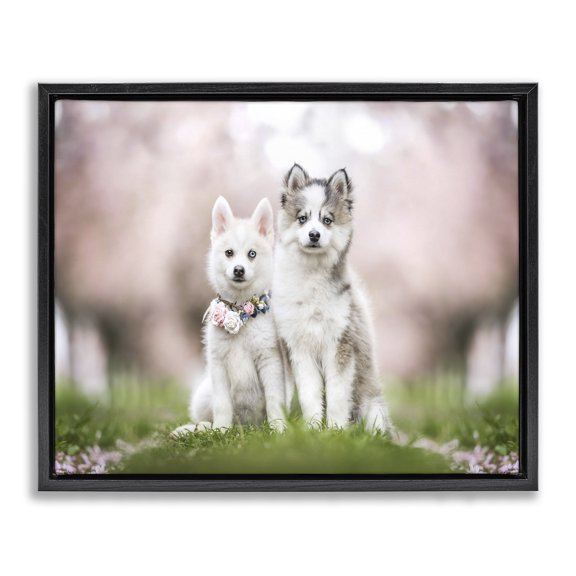 Stupell Industries Eclectic Husky Puppies in Meadow Black Floating Frame Canvas Art, 21 x 17, by Natalie Grosse
