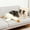 White-20", variant on Large Plush White Duck Dog Toy, 2026 New Realistic Goose Dog Toy, Durable Soft and Easy to Clean, Dogs Ducks Sleep Pillow Toy, Plush Toy for Indoor Dog Chew and Play (50cm/20in)