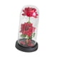 thumbnail image 4 of Regalos de San Valentín para ella: flores preservadas iluminadas, decoración creativa para el hogar rojo con base negra, 4 of 9