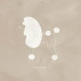 thumbnail image 2 of Popp, Grace 26x26 White Modern Wood Framed Museum Art Print Titled - Poodle Cuts VI, 2 of 4