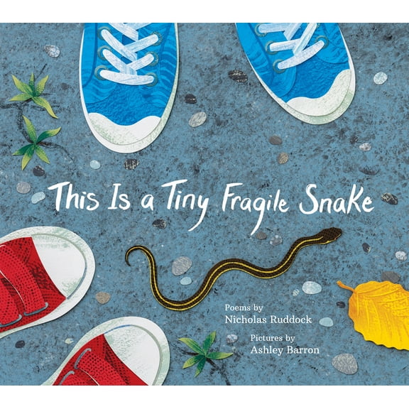 This Is a Tiny Fragile Snake, (Hardcover)