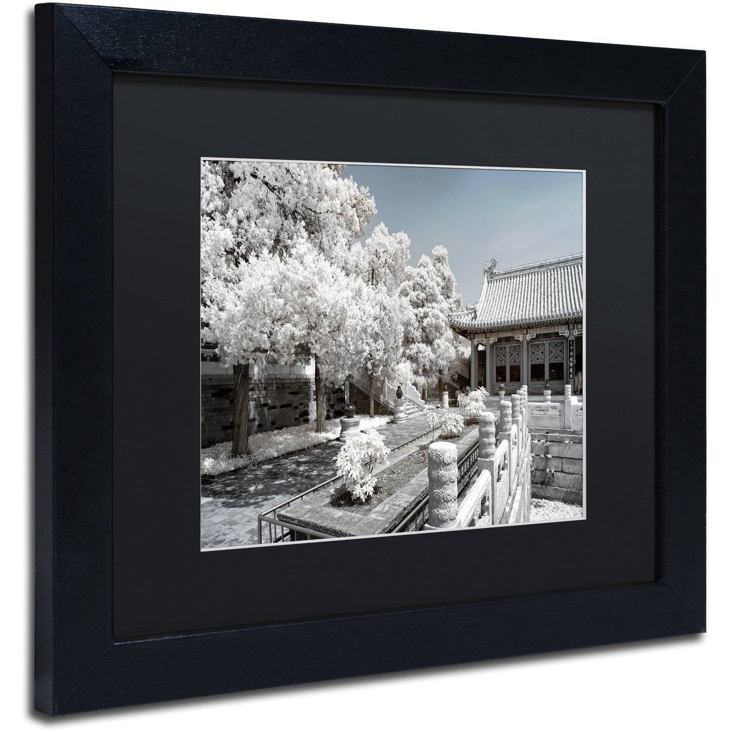 Trademark Fine Art "Reflection" Canvas Art by Philippe Hugonnard, Black Matte, Black Frame