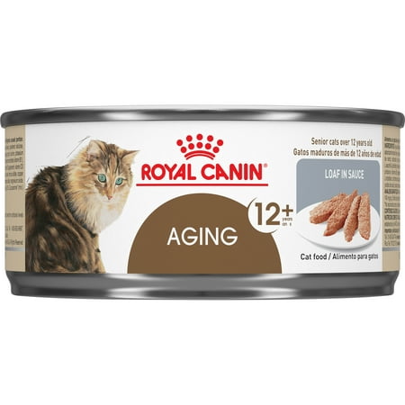 Royal Canin Feline Health Nutrition Aging 12+ Loaf in Sauce All Breeds Senior Wet Cat Food, 5.8 (Best Cat Breed For Someone With Allergies)