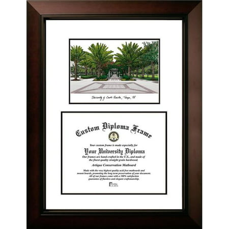 Campus Images FL989LV-1411 11 x 14 in. University of South Florida Legacy Scholar Diploma Satin