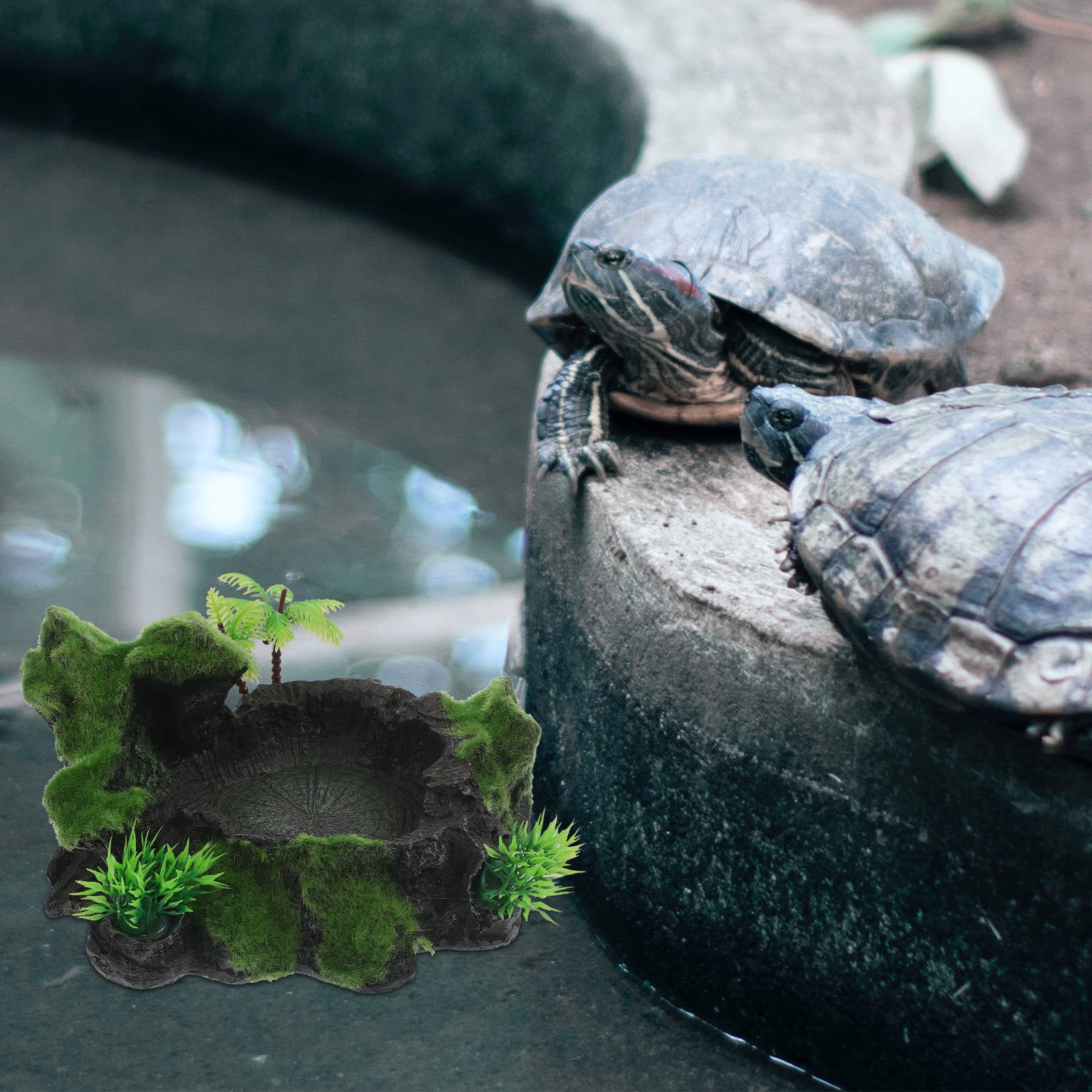 USHOBE Resin Reptile Feeding Dish Green Wear-Resistant for Lizards and Horned Frogs