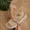 Khaki, variant on PiGOGI Women Round Head Hollow Flower Beach Wedge Heel Slippers Casual Summer Comfort Sandals Khaki