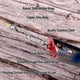 thumbnail image 4 of Paquete de 30 Clips de Pesca de Velocidad, Eslabones Giratorios de Cambio Rápido, Eslabones Giratorios con Rodamientos de Bolas, Tipo 1, 4 of 5