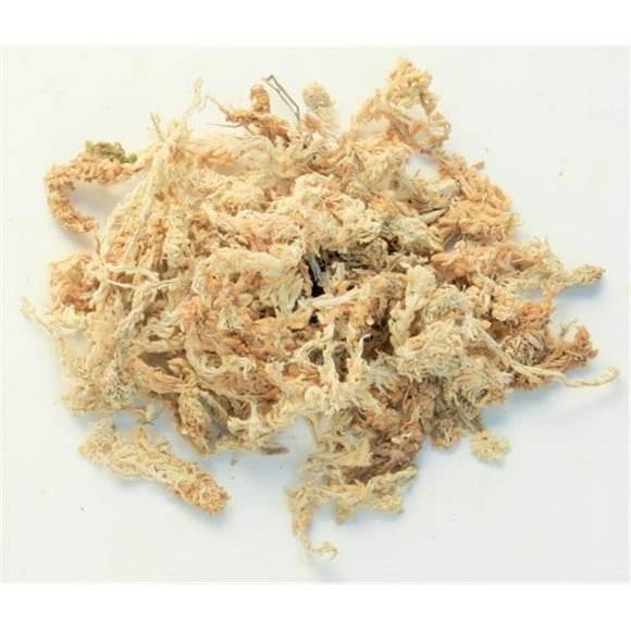 Super Moss 22330 3.5 Lbs Orchid Sphagnum Moss