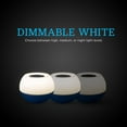 thumbnail image 4 of Enbrighten Color Changing LED Tabletop Night Light, Cobalt, 49534, 4 of 6