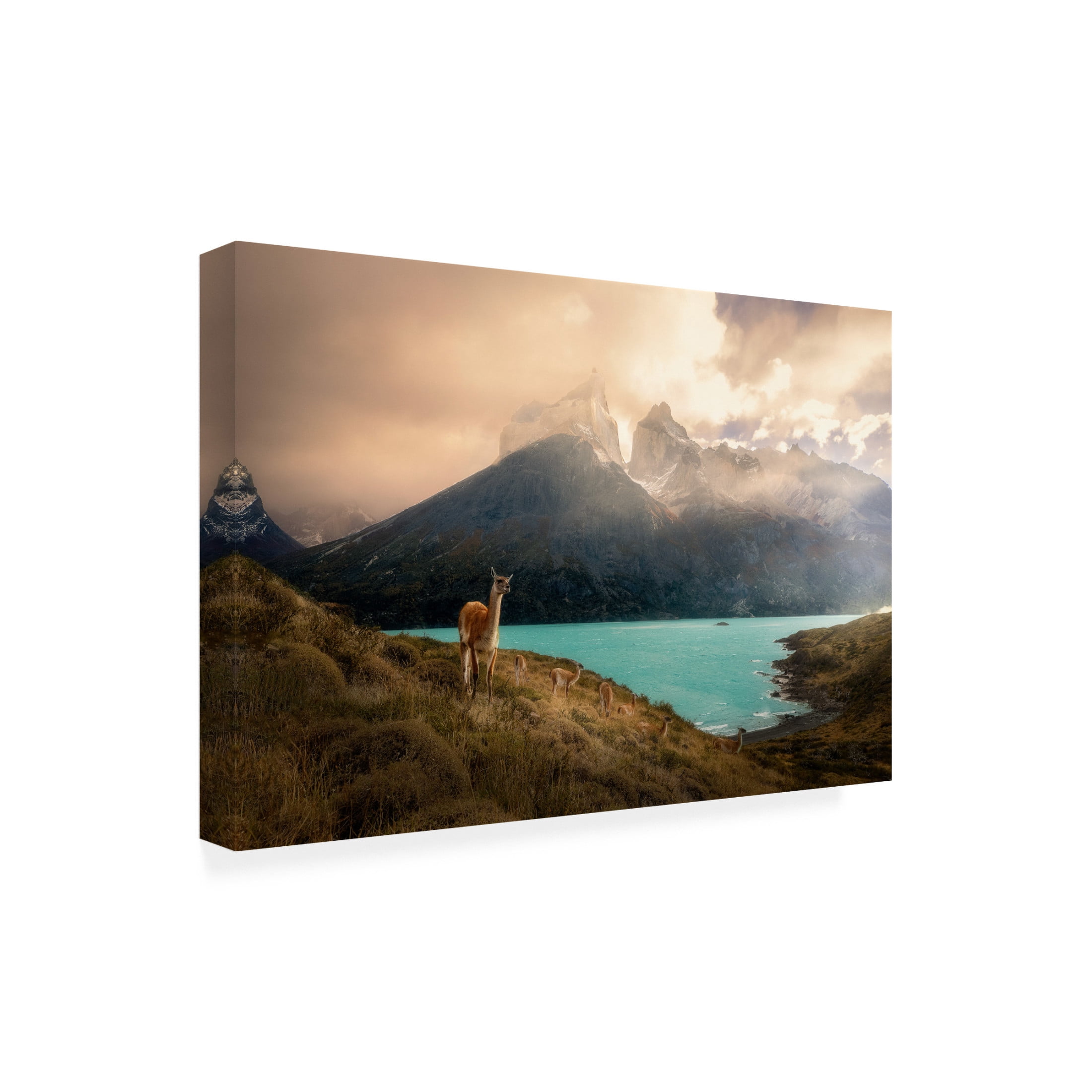 Trademark Fine Art Dennis Zhang Alpaca at Torres del Paine II Canvas Wall Art