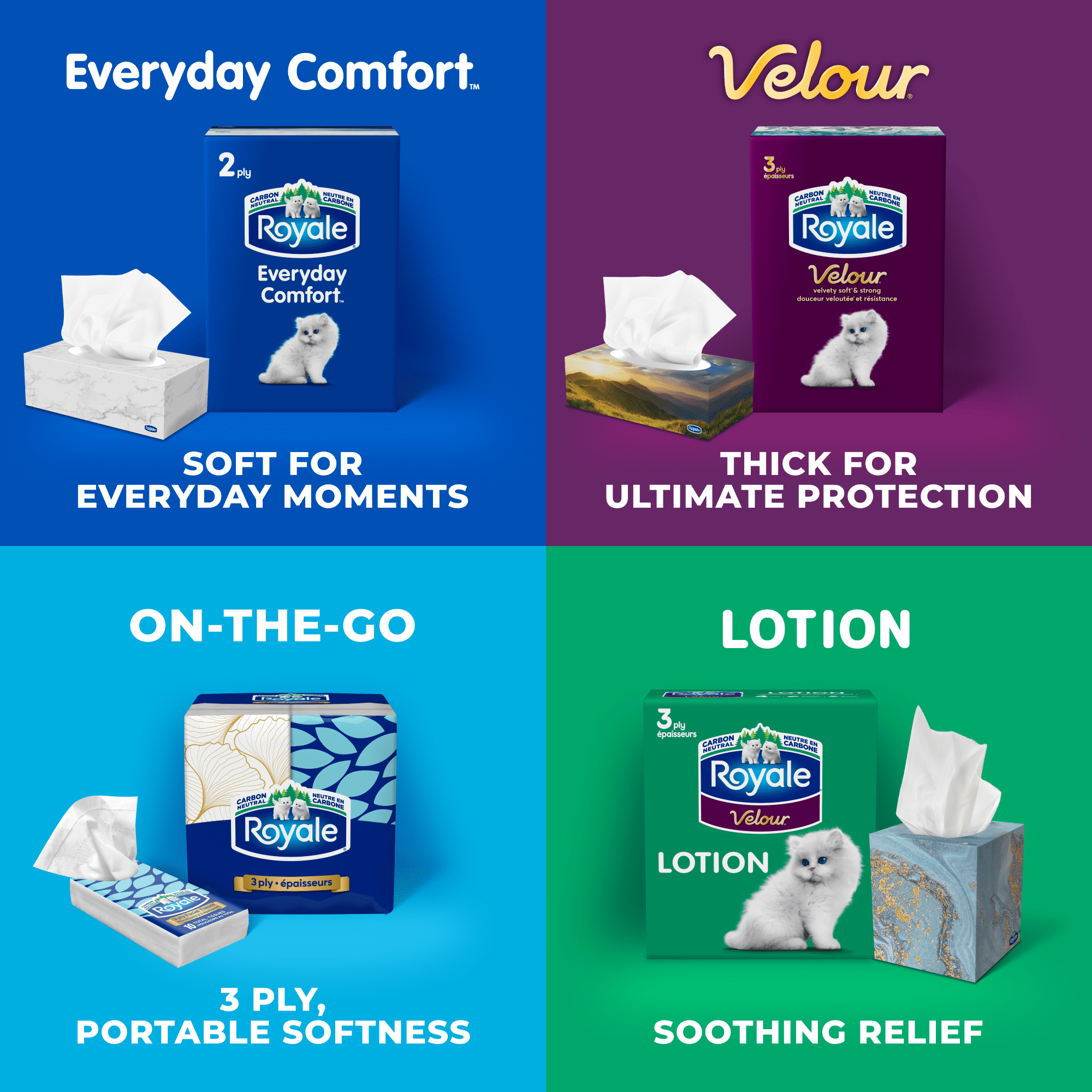 Royale Velour, 3 Ply Facial Tissue, 12 Flat Boxes, 82 Tissues per Box