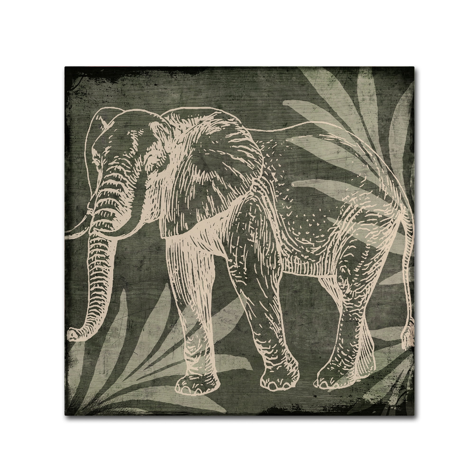 Trademark Fine Art "Elephant 1" Canvas Art by Color Bakery