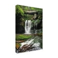 thumbnail image 4 of Trademark Fine Art 'Elakala Falls West I' Canvas Art by Alan Majchrowicz, 4 of 4