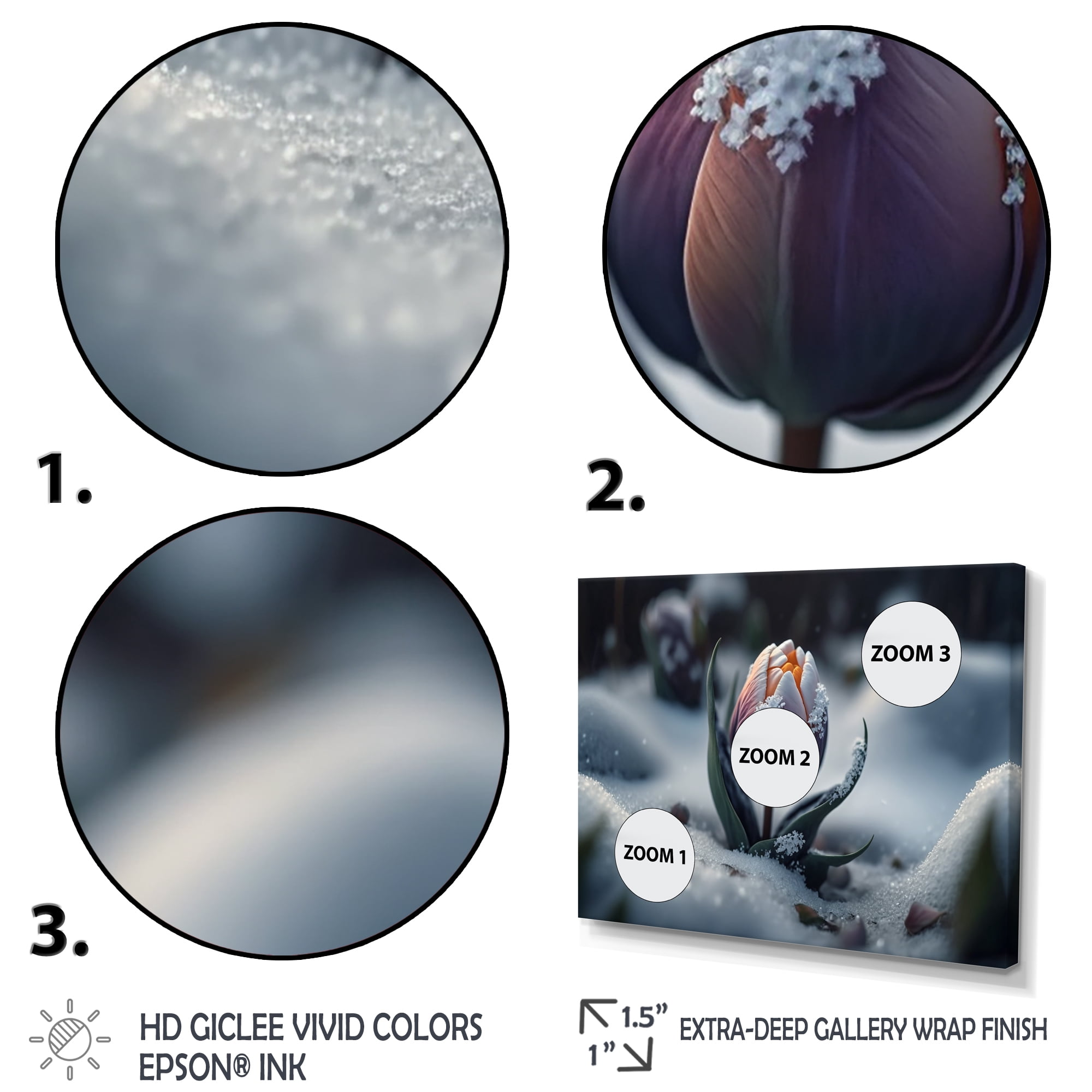 Designart A Blooming Multicolor Tulip Flower In Winter II Canvas Wall Art