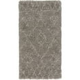 thumbnail image 2 of Surya Wilder WDR200 Shag Indoor Area Rug, 2 of 2