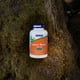 thumbnail image 5 of Suplemento NOW Foods Lion's Mane, 500 mg, 60 cápsulas vegetarianas, 5 of 6