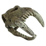 Komodo Saber Tooth Skull Decor for Aquarium or Reptile Tank, Polyresin, Aquarium Decor, Bone Color