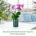 thumbnail image 3 of Bottlepic Ceramic Orchid Planter with Holes, Orchid Pots with Tray for Indoor and Outdoor Plants Home Garden Decor, 3 of 6