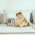 thumbnail image 5 of Dog Memorial Picture Frame 9x9inch with Photo Clip & Collar Holder, 5 of 9