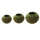 thumbnail image 1 of 3piezas Maceta de Flores Bonsai Titular de Planta Accesorios de Jardinería Casa, 1 of 7