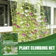 thumbnail image 1 of Enrejado de jardín JAMW para plantas trepadoras Sencillez 2,95 x 8,85 pies, 1 of 5