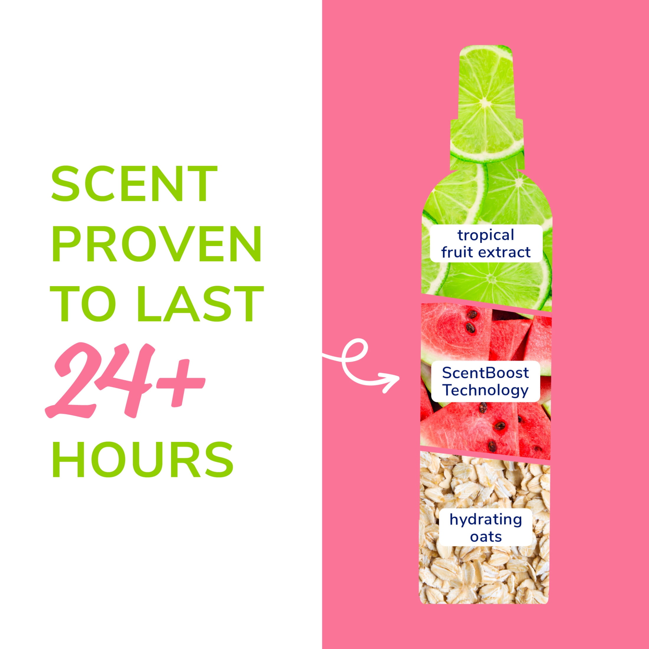 Naturel Promise Fresh & Soothing Deodorizing Spray Pet Refresh Spray, Sweet Summer Scent, 8 fl oz