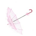 thumbnail image 6 of Nikou Bridal Umbrella Lace Wedding Photography Prop Props Cotton for Parties Dancing(pink), 6 of 8