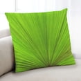 thumbnail image 1 of Ahgly Company Color Focus Green Coussin Décoratif d'Intérieur, 18 Po X 18 Po, 1 of 6