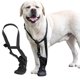 thumbnail image 5 of Dog Front Paws Protective Boot Paws Healing Shoes Adjustable Waterproof Dog Shoe Wound Care Footwear for Wood Recovery XL, 5 of 5